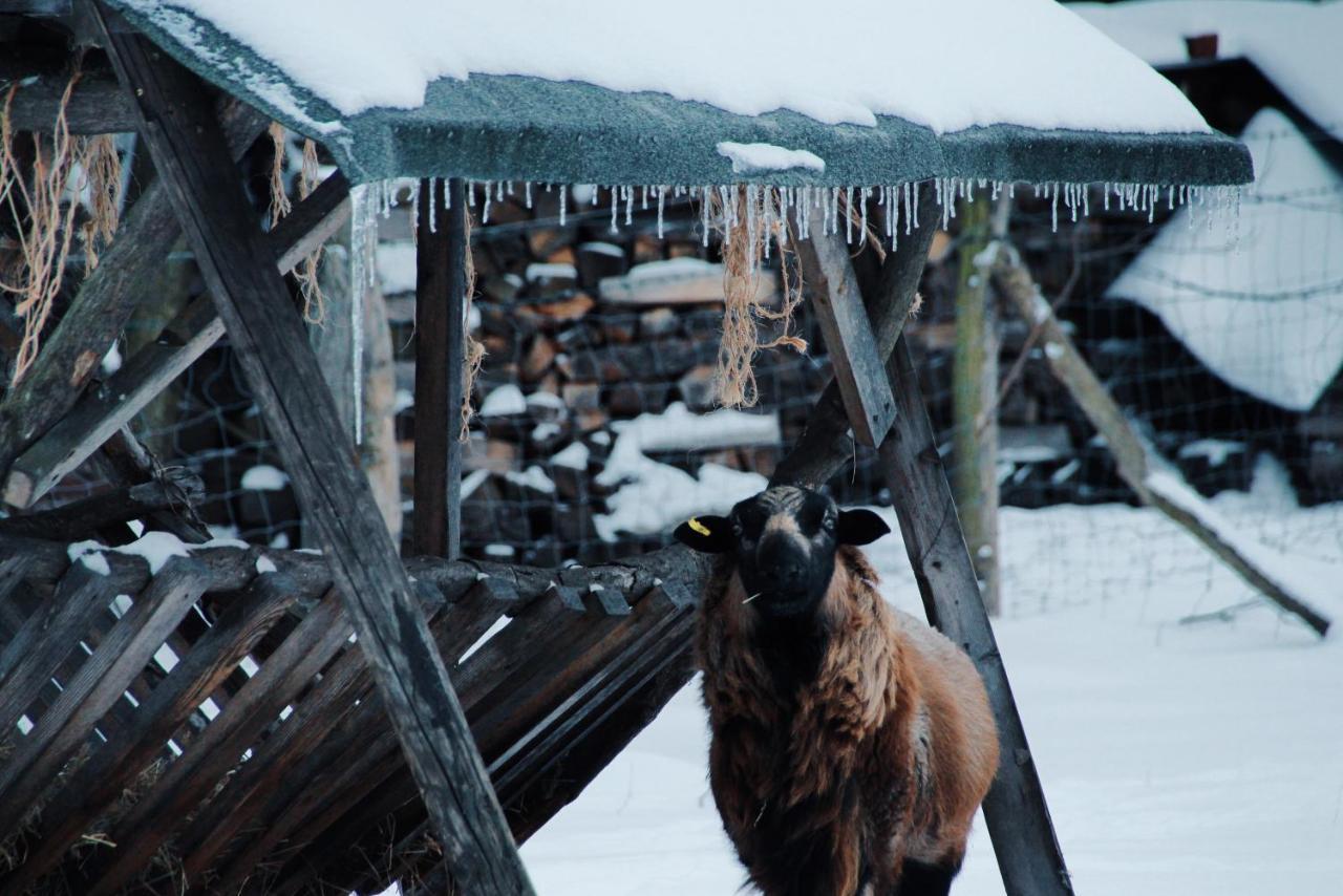 Landgasthof Zur Wildbahn Бург Экстерьер фото